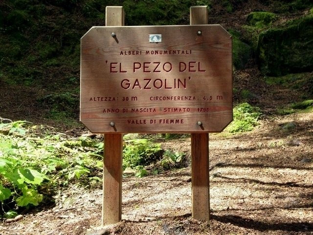 Il Pezo del Gazolin景点图片