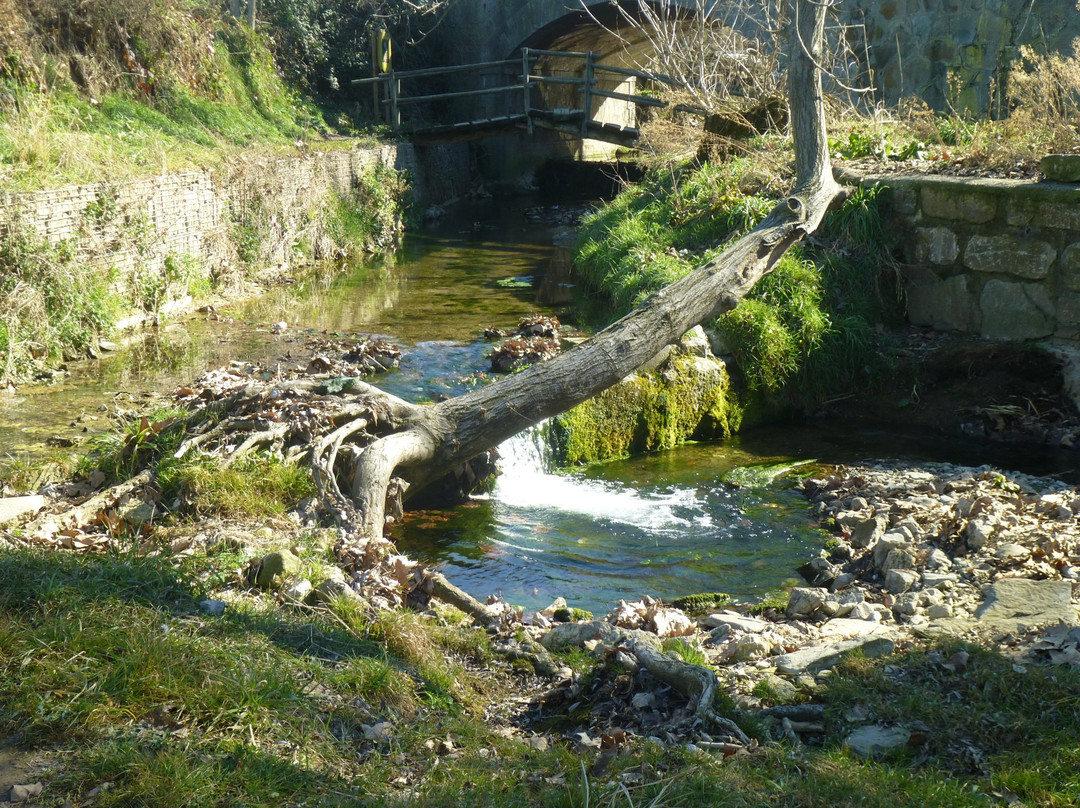 Ruta dels Molins Fariners景点图片