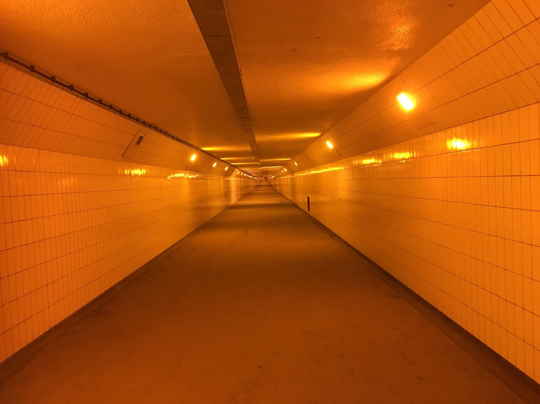 Maastunnel-鹿特丹必去景点