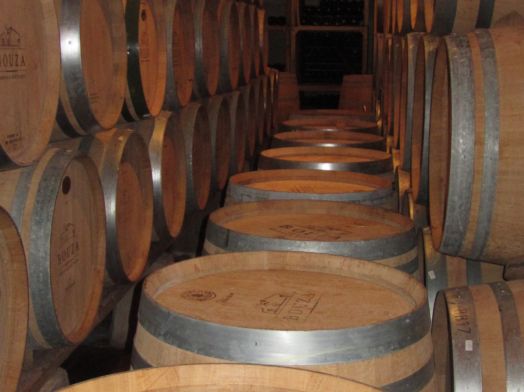 Bouza Bodega Boutique景点图片