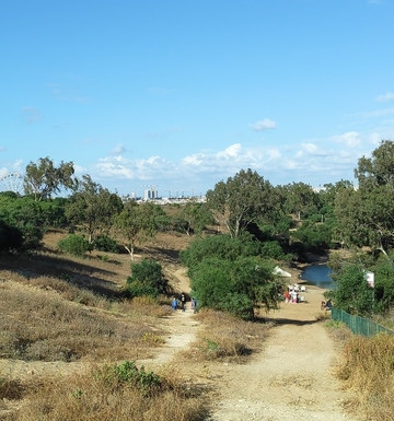Part HaAgamim-Rishon Lezion必去景点