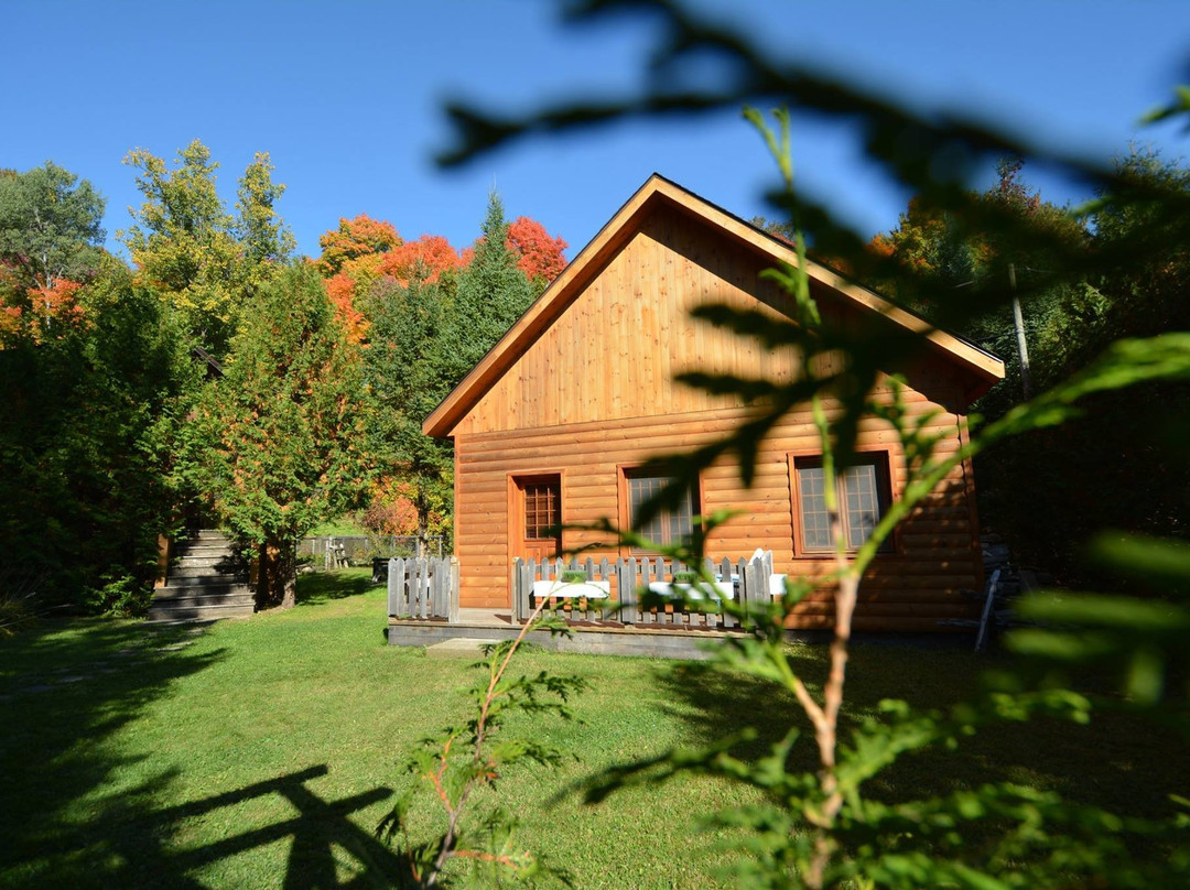 Auberge Alpine Inn主图