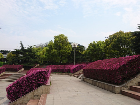 月湖公园-武汉市必去景点