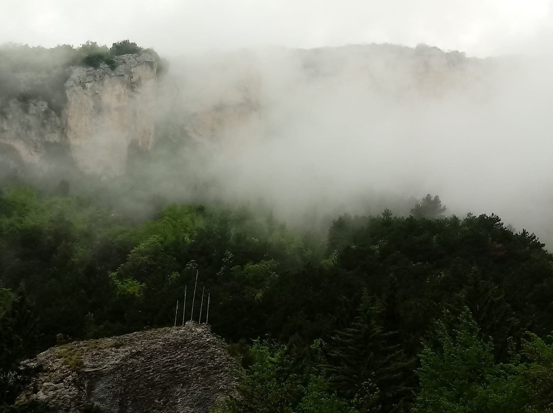 Grotta del Cavallone景点图片