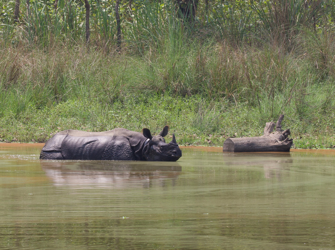 Bishazari Tal-奇旺国家公国必去景点