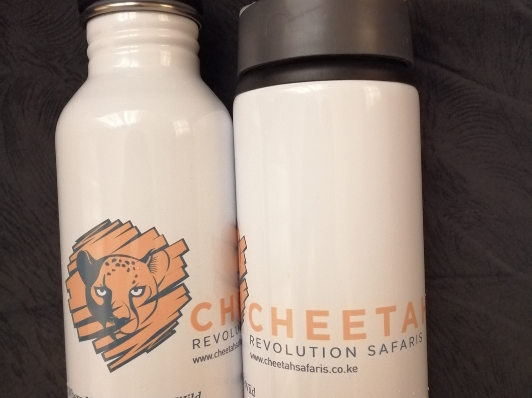 Cheetah Safaris-内罗毕必去景点