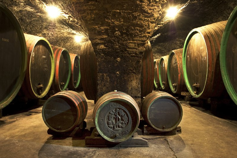 Hruba Vrbka旅游景点-Zamecke Sklepy Straznice