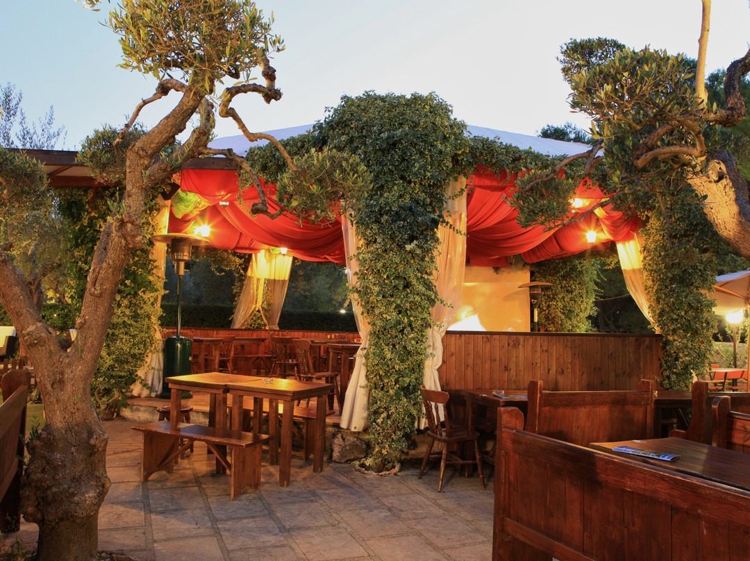 Green Elf Pub Pizzeria主图