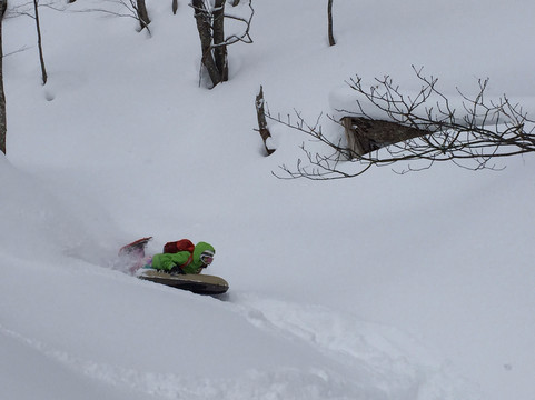 Nikko Base-日光市必去景点