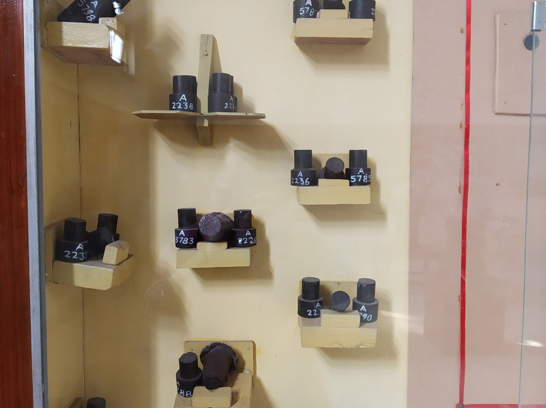 Central Museum Indore景点图片