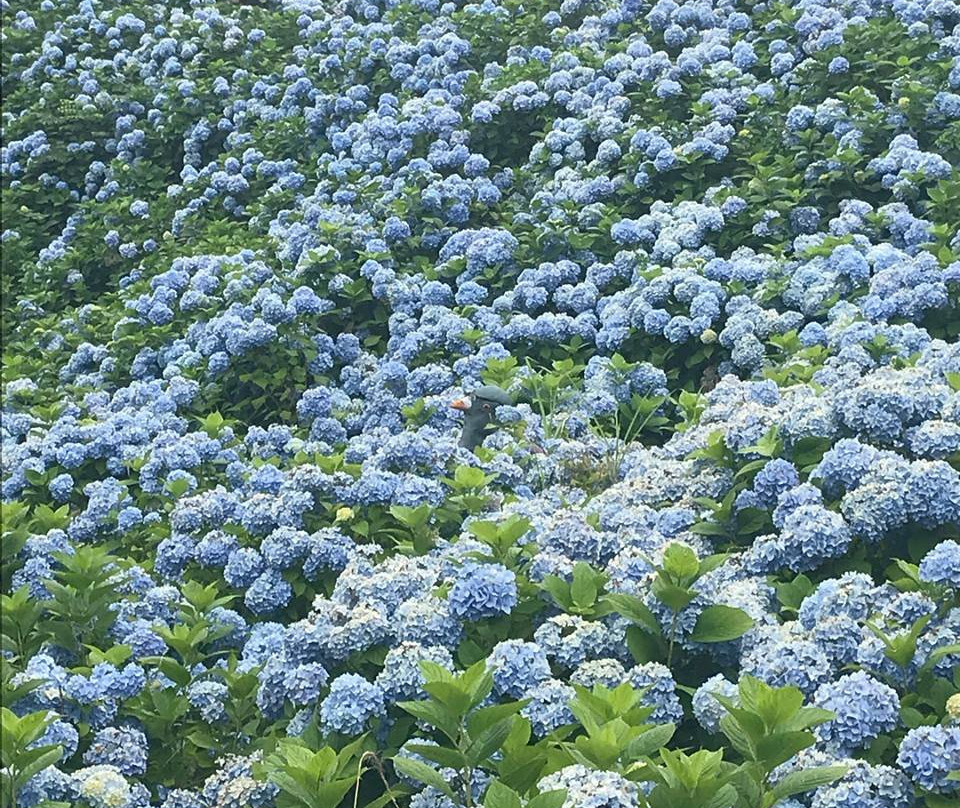 Akasaka Public Park-气仙沼市必去景点