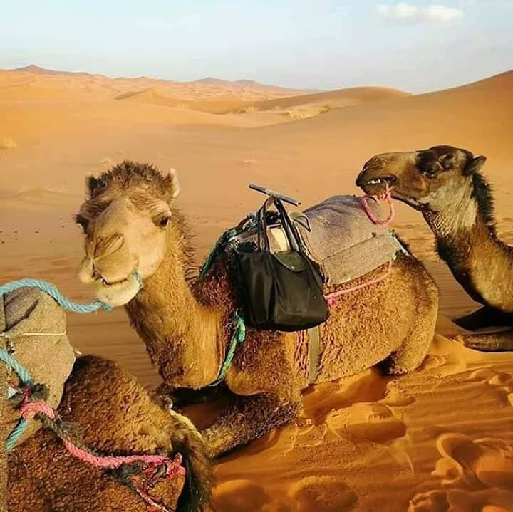 Ahansal adventures-马拉喀什必去景点