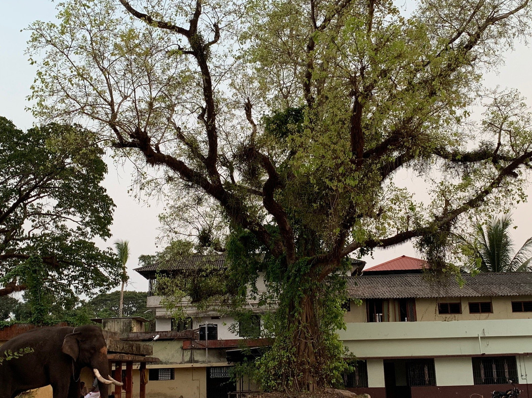 Mullakkal Rajeshwari Temple-阿拉普扎必去景点