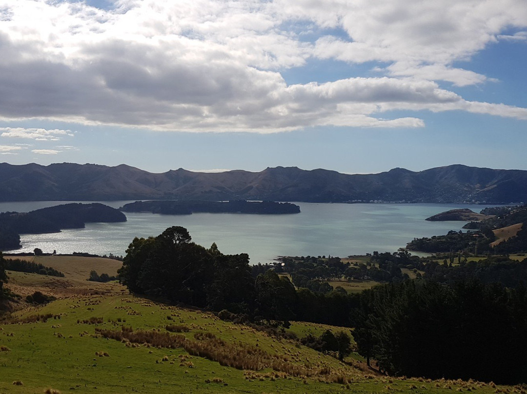 Orton Bradley Park-南岛必去景点