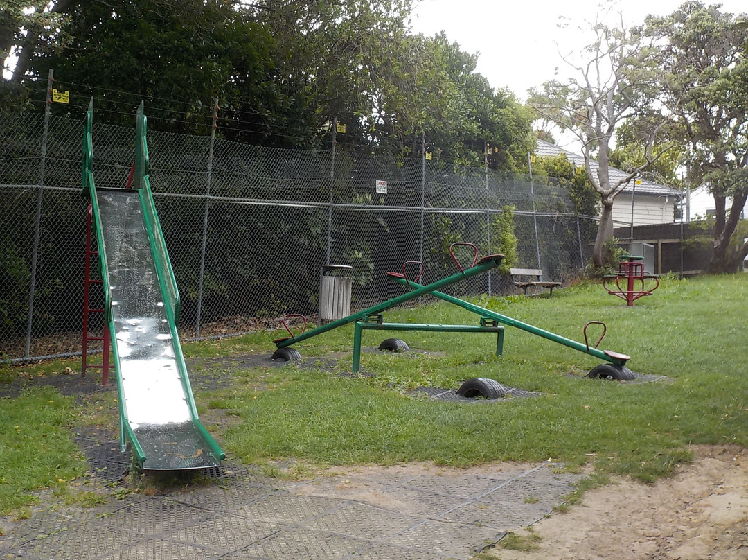 Newtown Park Play Area景点图片