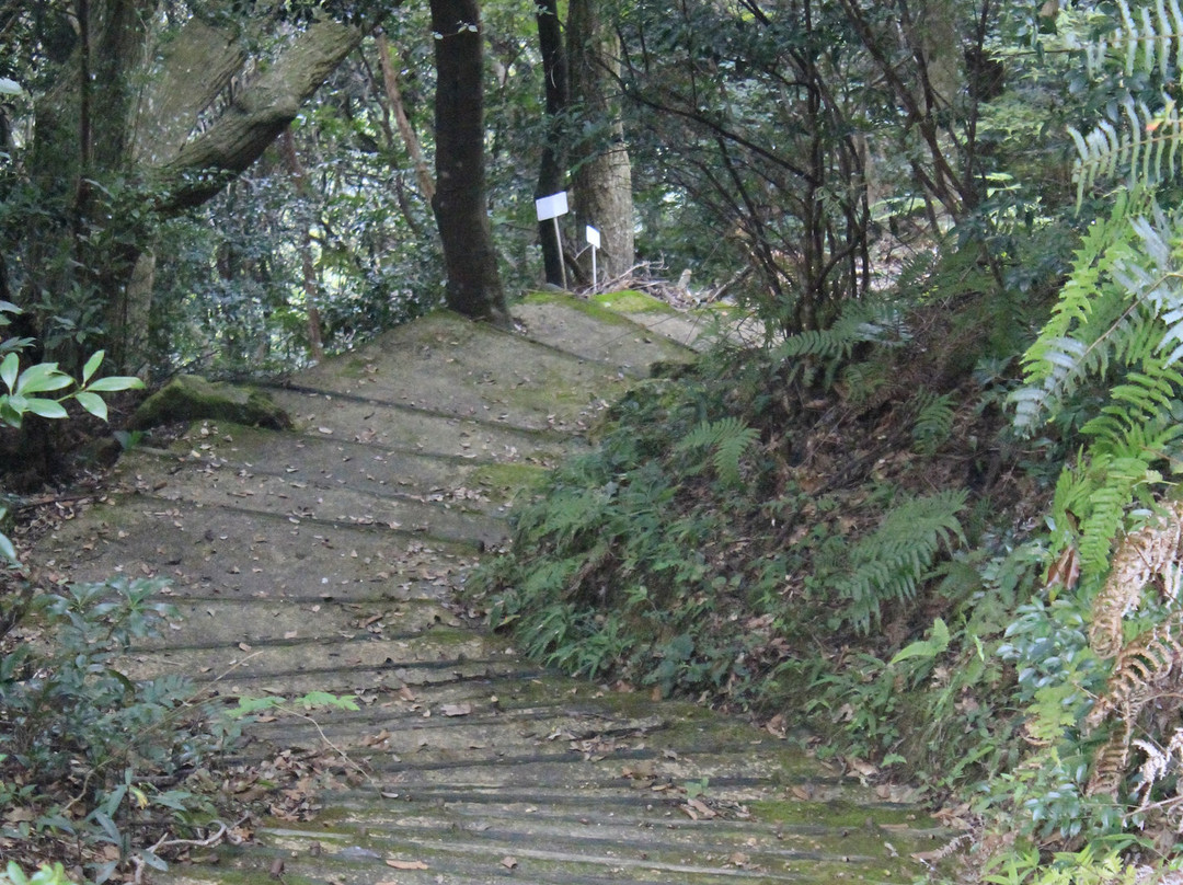 Taikoiwa Fudoson景点图片