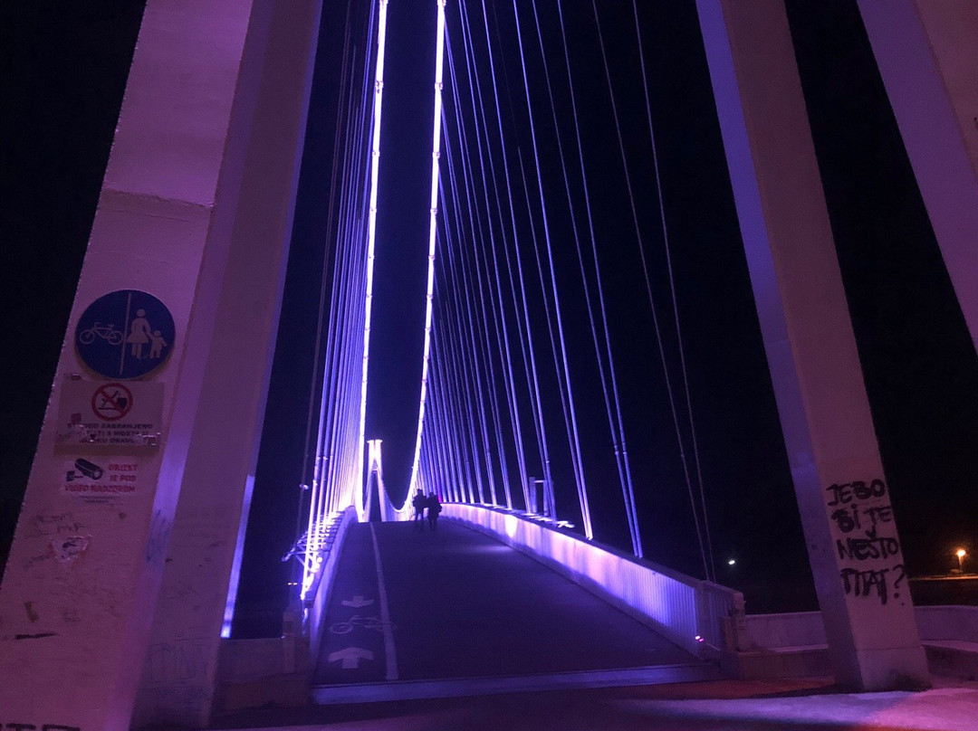 Pedestrian Bridge-奥西耶克必去景点