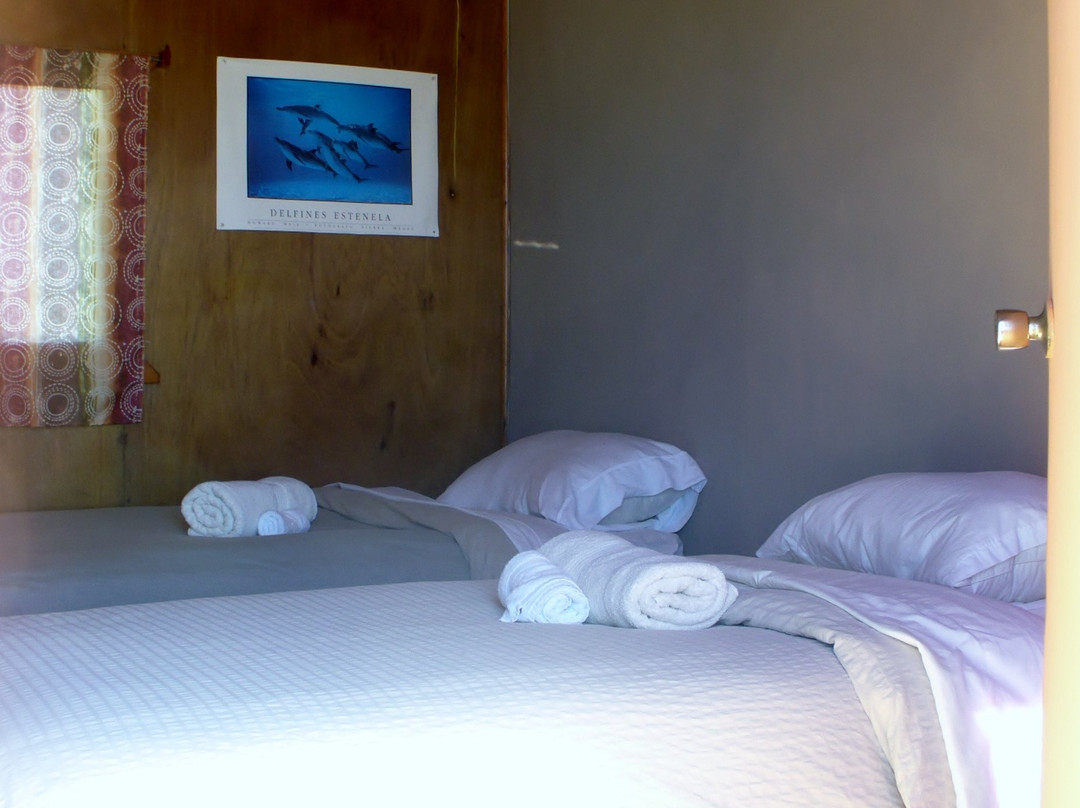 Antonios Eco-Tours-San Ignacio必去景点