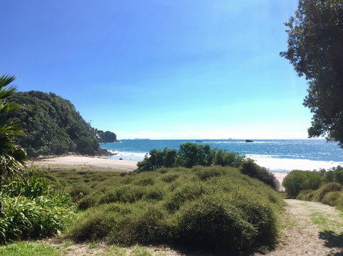 Whiritoa Beach-Whiritoa必去景点