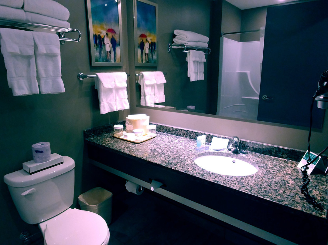 Quality Inn & Suites主图