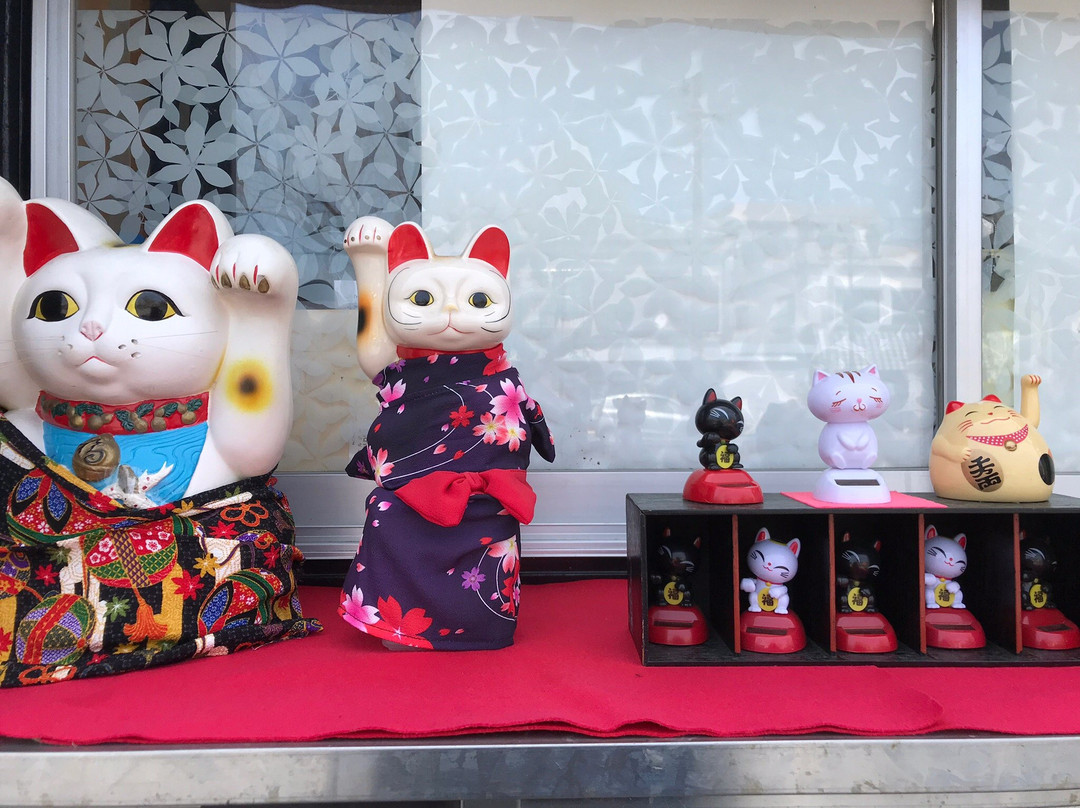 Yanagawa Dolls’ Festival Sagemon Meguri景点图片