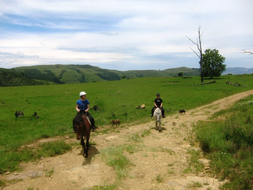 Stormy Hill Trails & Tails景点图片