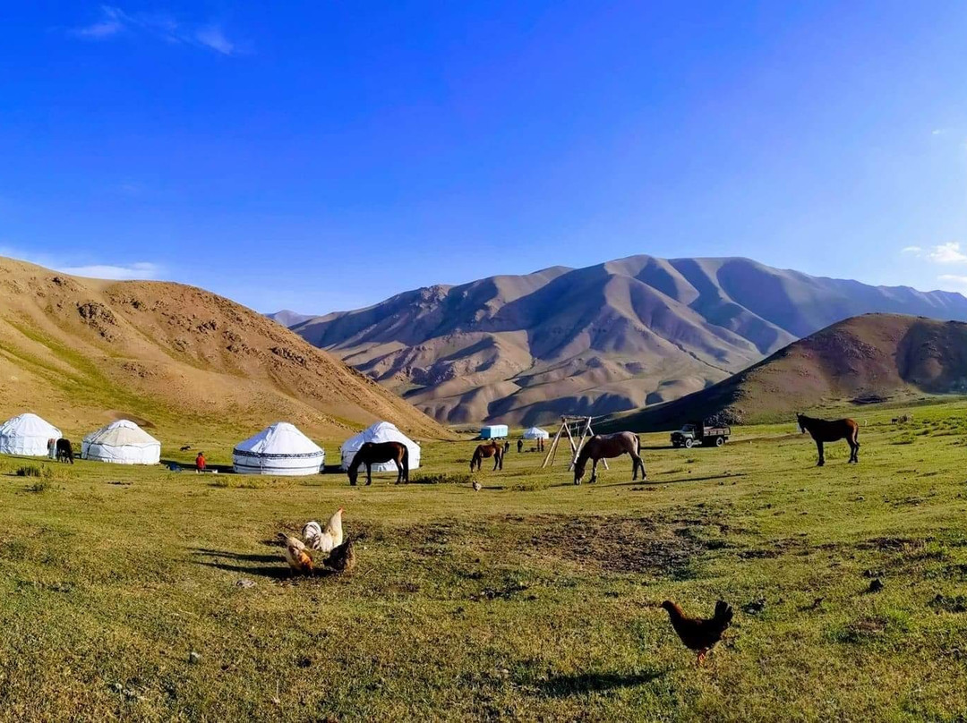 Kyrgyz Wonders Travel景点图片