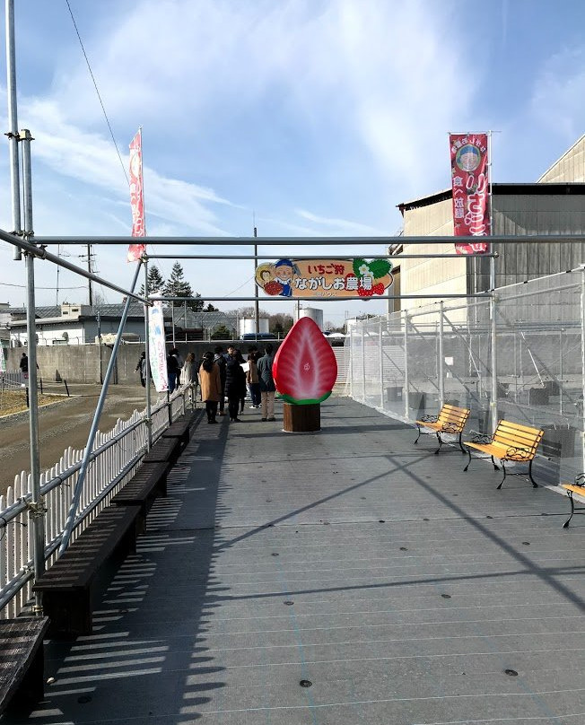 Nagashio Farm-三田市必去景点