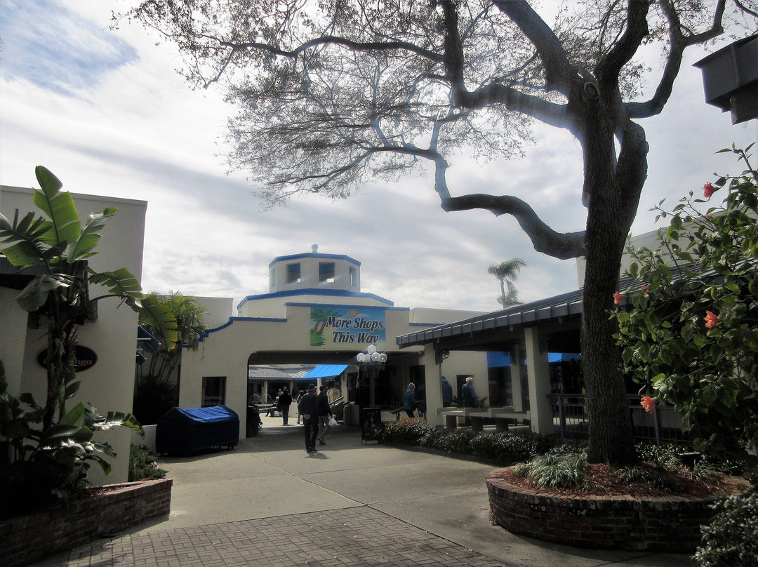 Sponge Exchange-塔彭斯普林斯必去景点