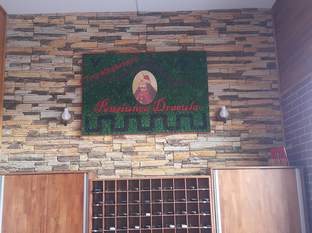 Pensiunea Dracula主图