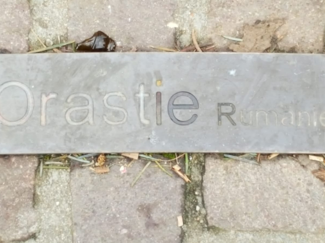 Marktbrunnen-Helmstedt必去景点