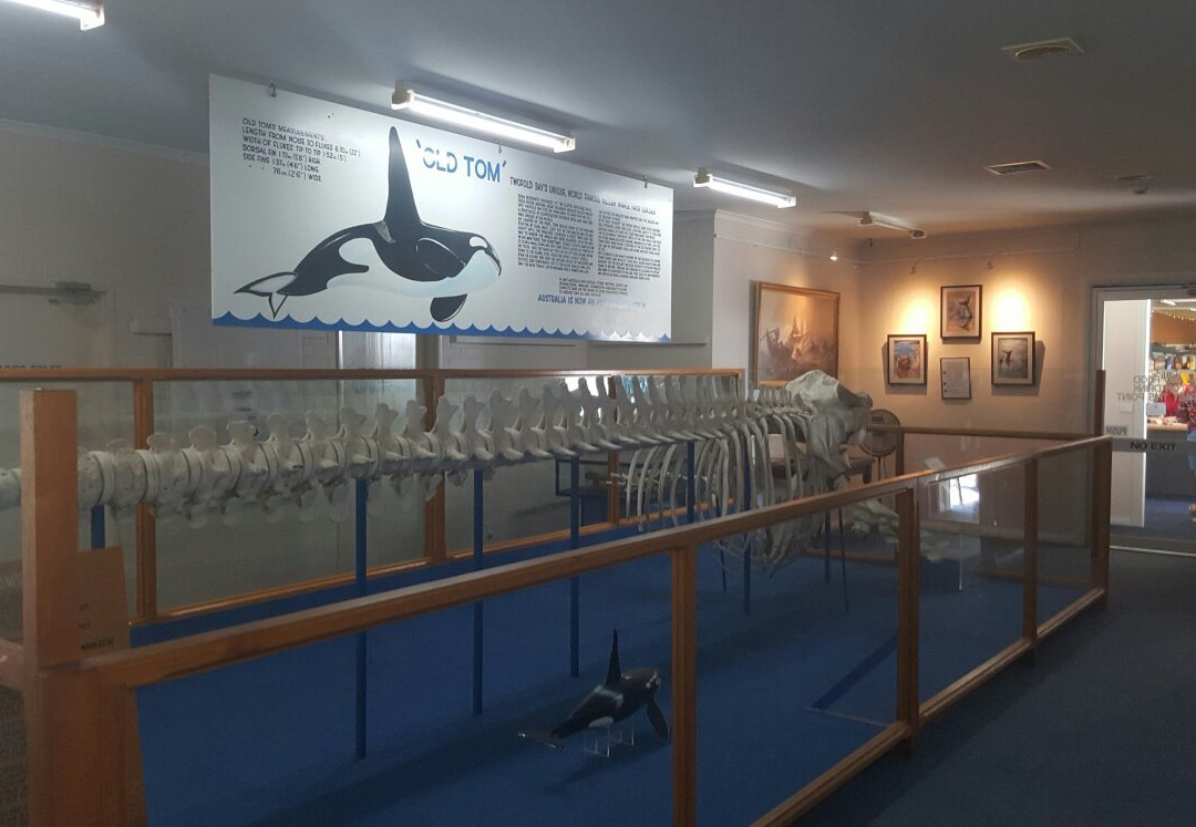 Killer Whale Museum景点图片