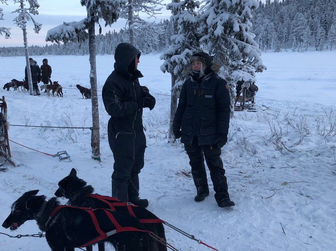 Ice Driving-Jukkasjarvi必去景点