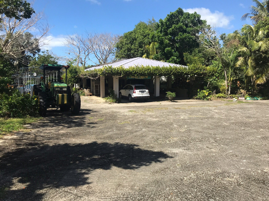 Hamamoto Tropical Fruit World-尤纳必去景点