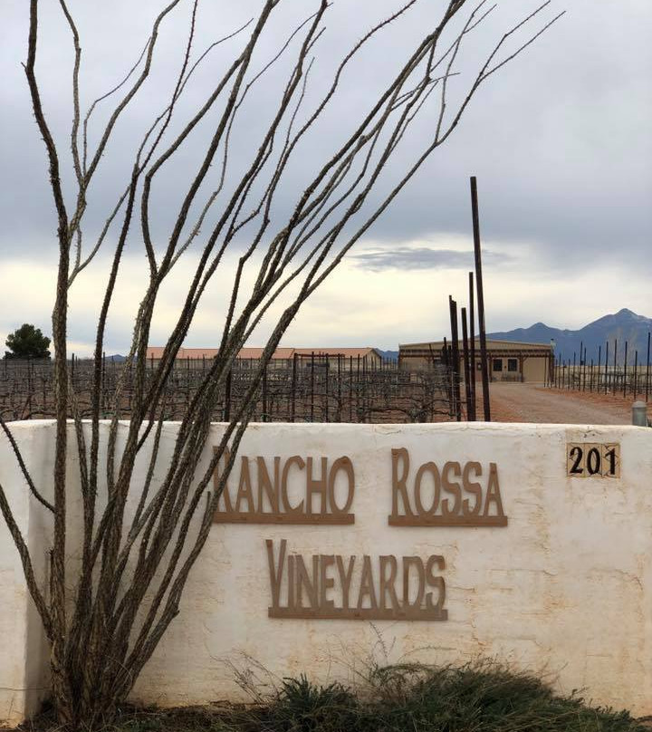 Rancho Rossa Vineyards景点图片
