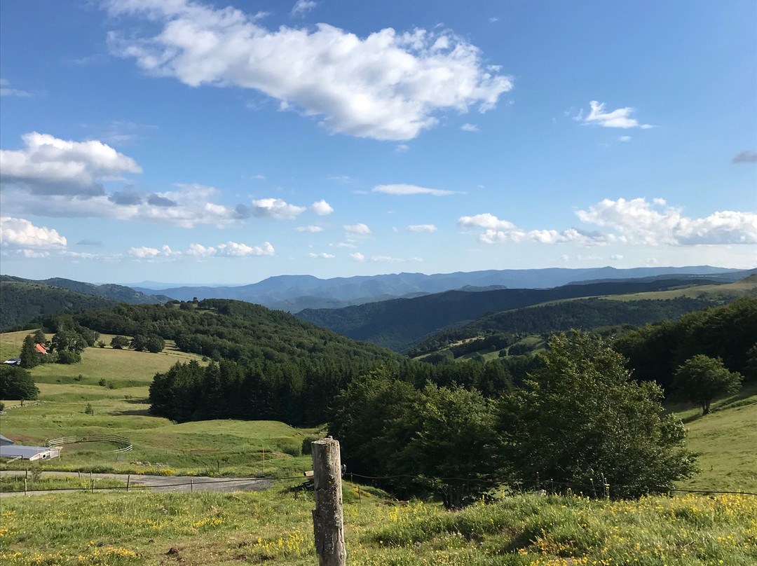 Parc naturel regional des Monts d'Ardeche-Jaujac必去景点