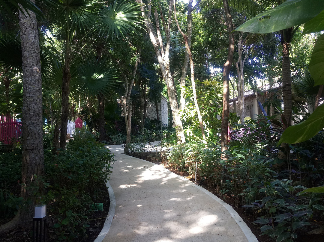 Xolumado Inspiration Village By Karisma主图