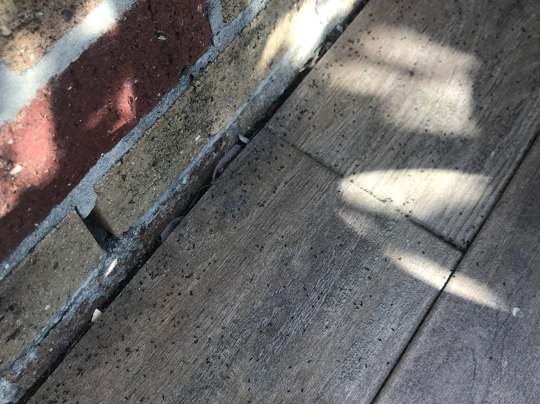 拜伦中央公寓主图