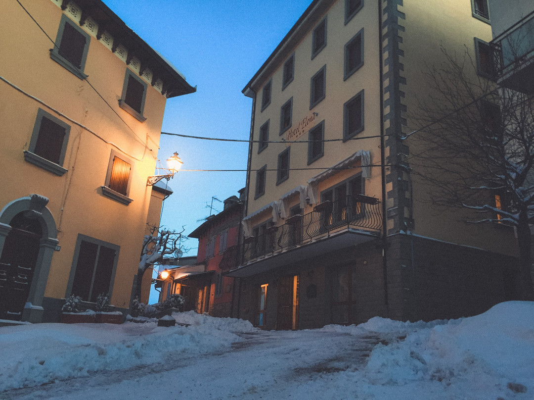 Hotel Elena sestola主图