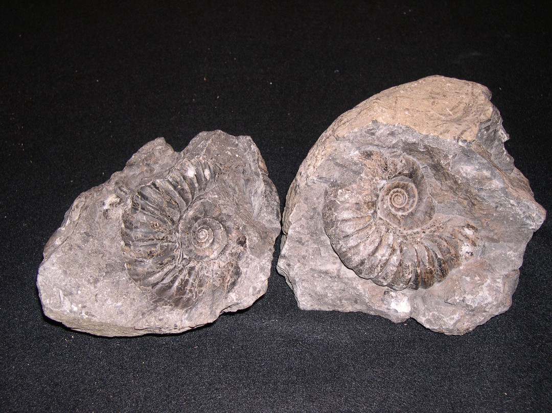 Kitimat Museum & Archives-Kitimat必去景点