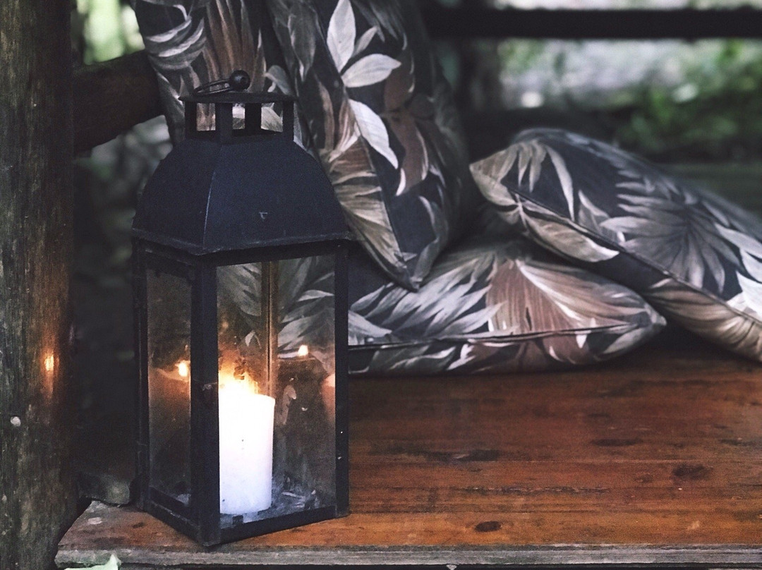 El Abrazo del Arbol主图