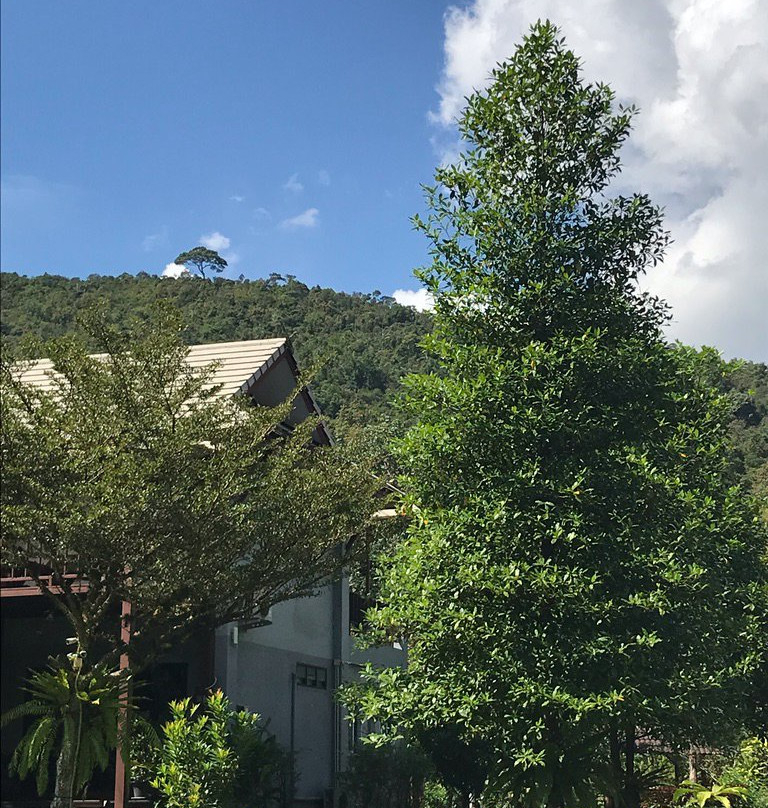 Montania Lifestyle Hotel主图