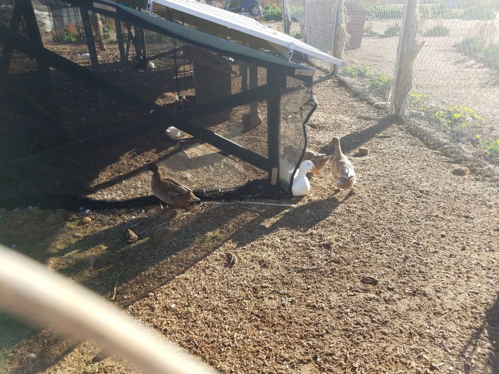 Rhibafarm-San Tan Valley必去景点