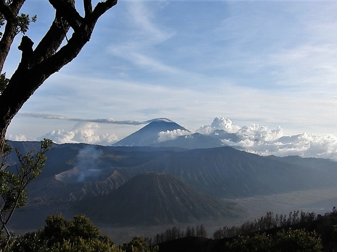 布罗莫火山景点图片