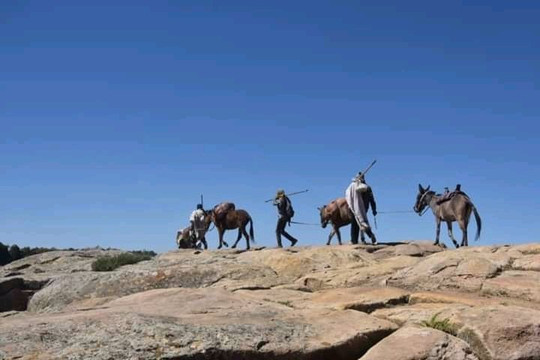 Ethio Kings Tour-贡德尔必去景点