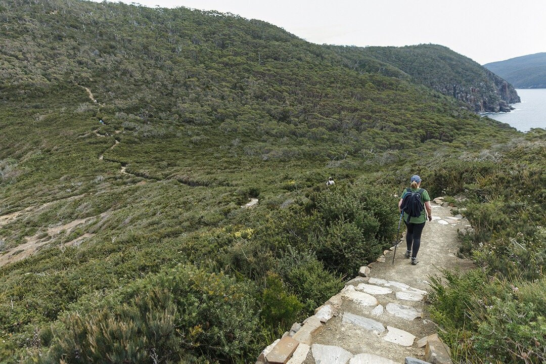 Three Capes Track-亚瑟港必去景点