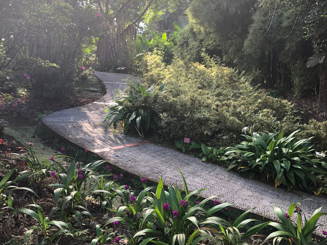 Jardin de Balata-法兰西堡必去景点