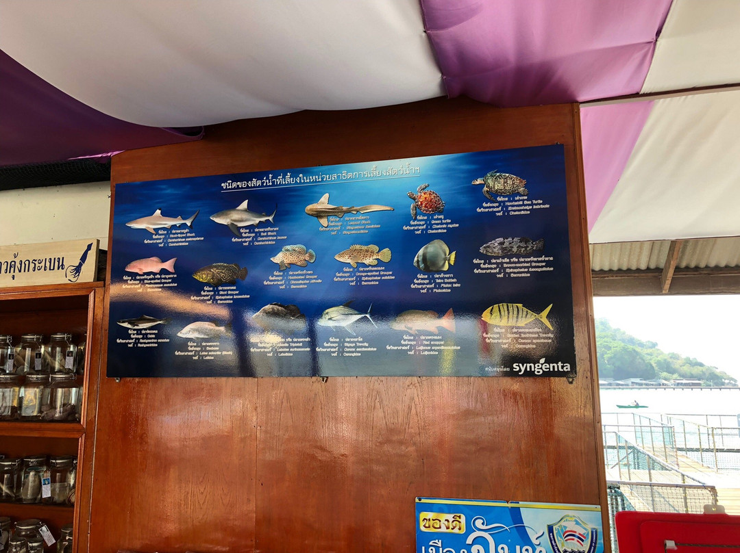 Sea Farming Demonstration Unit-尖竹汶必去景点