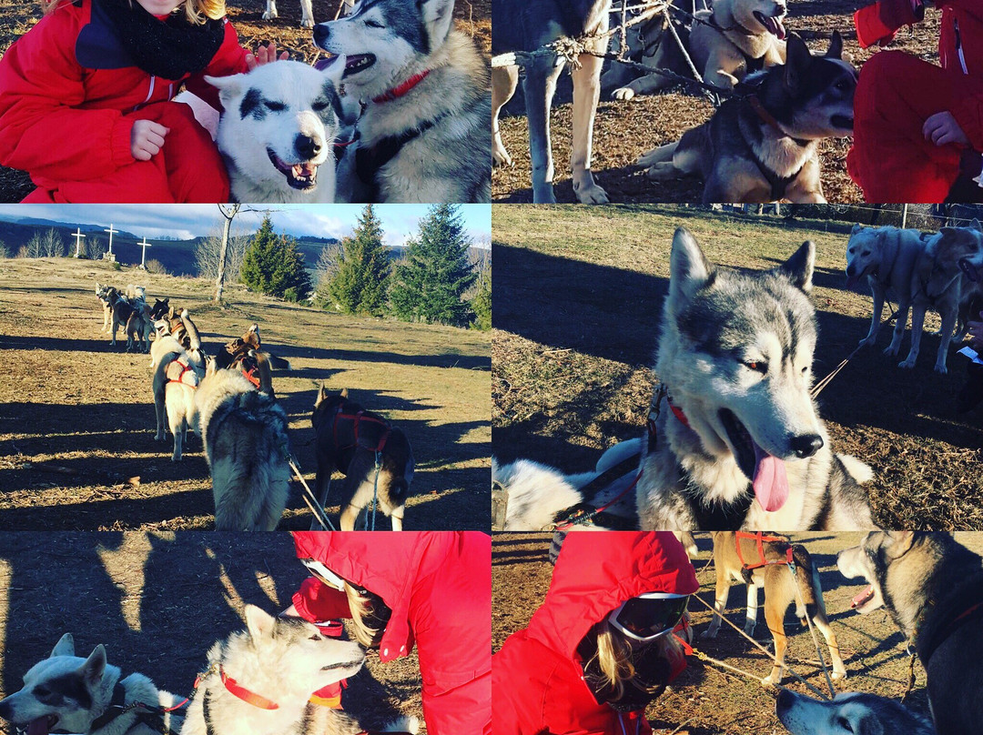 Cantal Mushing-Pailherols必去景点