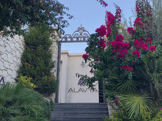 奥拉夫亚酒店主图